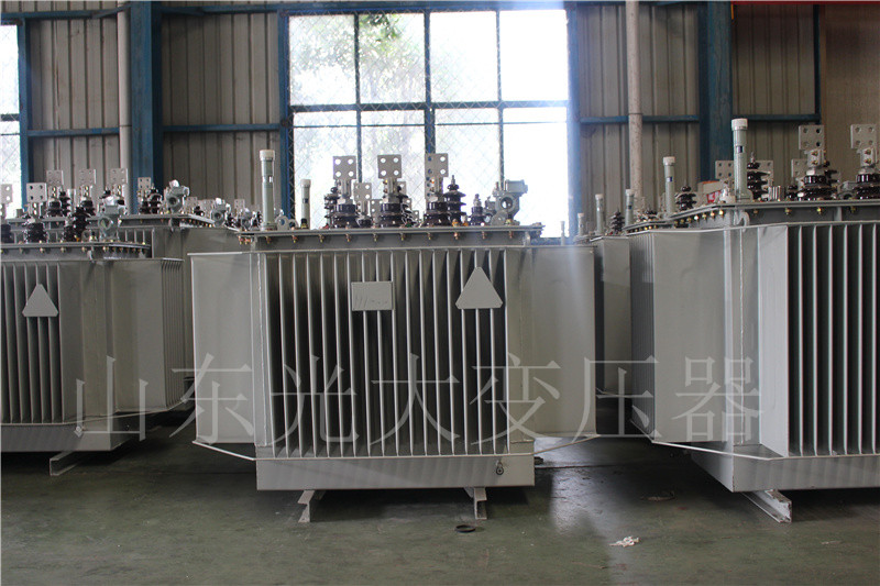 揭东S20-500KVA/10KV